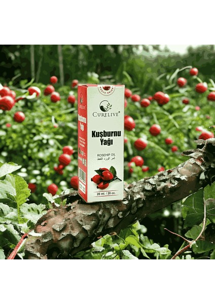 Kuşburnu Yağı 20ML