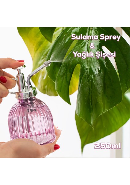 15731 Mor Vintage Cam Bitki Sulama Şişesi Oda Kokusu Dağıtıcı Çok Amaçlı Sprey Şişe 250 ml