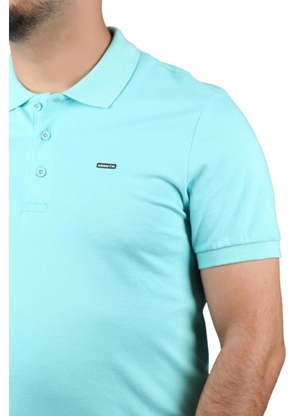 2061 Erkek Polo Yaka T-Shirt fırsatları