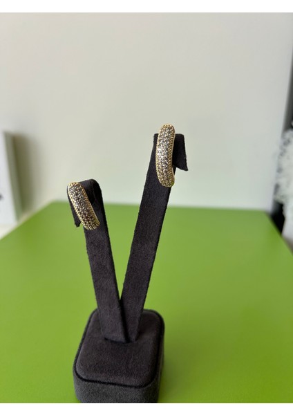 Taş Işlemeli Oval Form Çelik Küpe