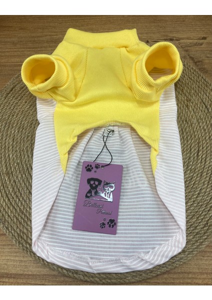 Ribanalı Yazlık Kedi Köpek Elbisesi