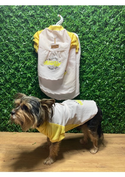Ribanalı Yazlık Kedi Köpek Elbisesi
