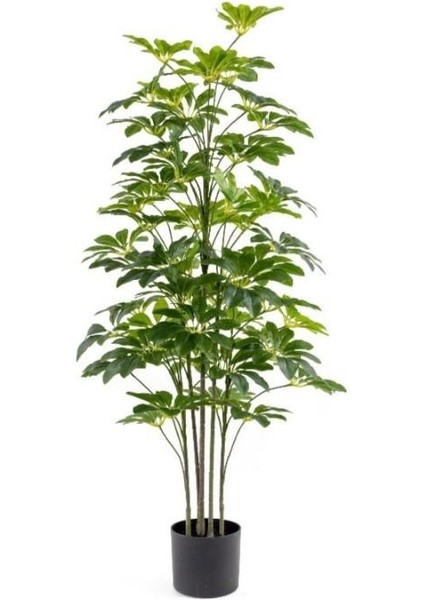 Sheflera Real Touch 125 cm 0103627