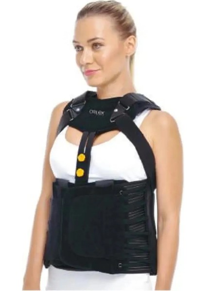 T.L.S.O Medikal Korse fiyatları