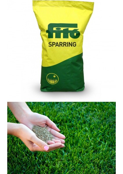 Fito Sparring Çim Tohumu 5 Kg