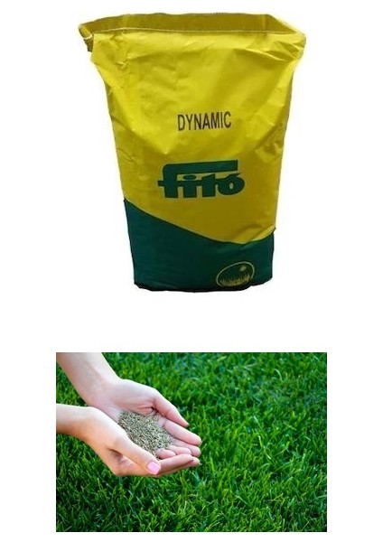 Fito Dynamic Çim Tohumu 100 Gr