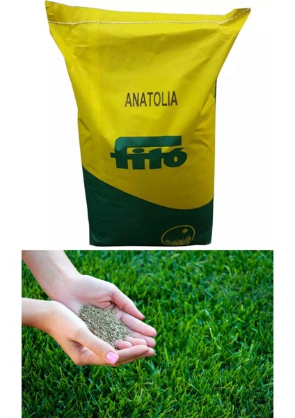 Fito Anatolia Çim Tohumu 200 Gr