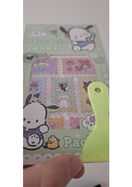 Pachacco Sticker Random Renkspatulaile