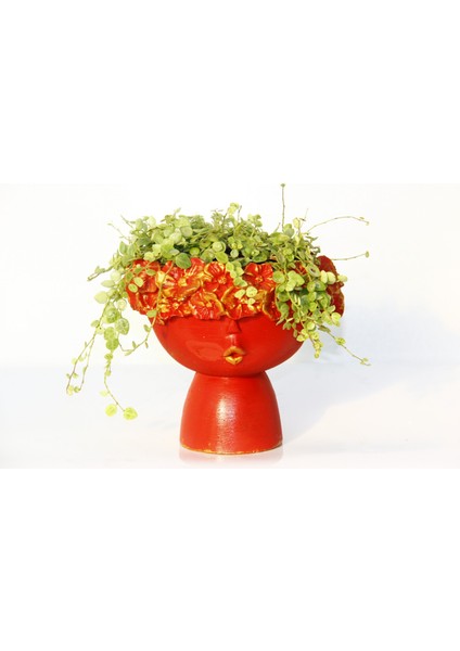 Dostluk Çiçeği 2 Adet - Hediyelik Kırmızı Saksıda Pilea Glauca