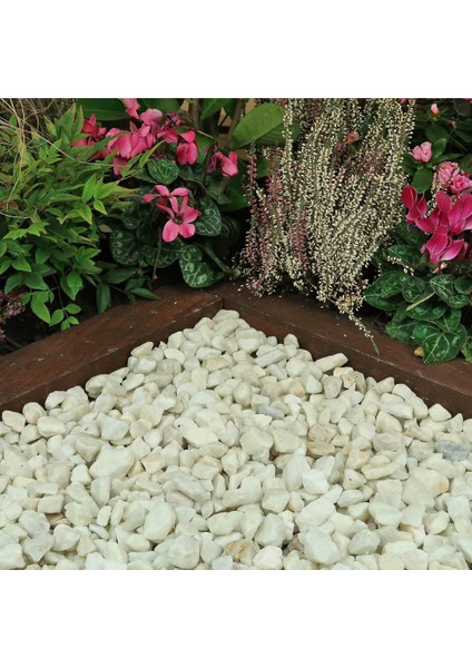 Dolomit Taşı Beyaz 1-2 cm 10 kg Doğal Dekorasyon Taşı modelleri