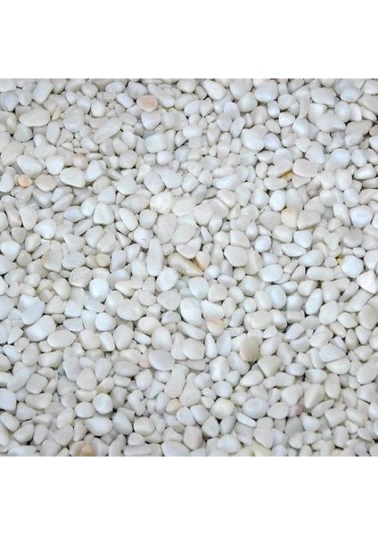 Dolomit Taşı Beyaz 1-2 cm 10 kg Doğal Dekorasyon Taşı indirimleri