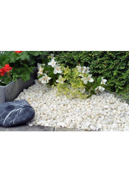 Dolomit Taşı Beyaz 2-4 cm 5 kg Doğal Dekorasyon Taşı fırsatları
