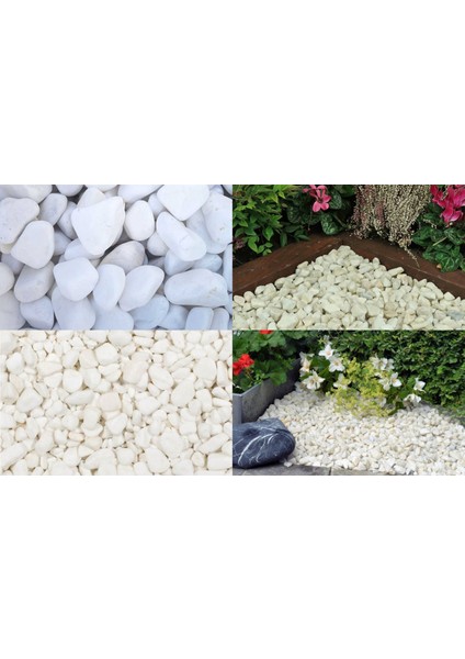 Dolomit Taşı Beyaz 4-6 cm 5 kg Doğal Dekorasyon Taşı