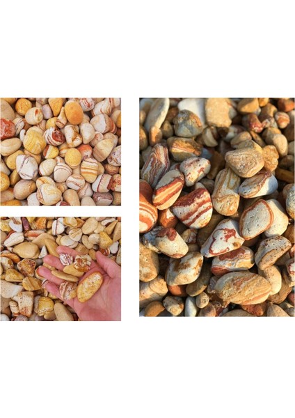 Dolomit Taşı Sarı Çizgili 6-10 cm 10 kg Doğal Dekorasyon Taşı