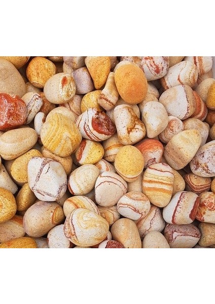 Dolomit Taşı Sarı Çizgili 6-10 cm 10 kg Doğal Dekorasyon Taşı fiyatları