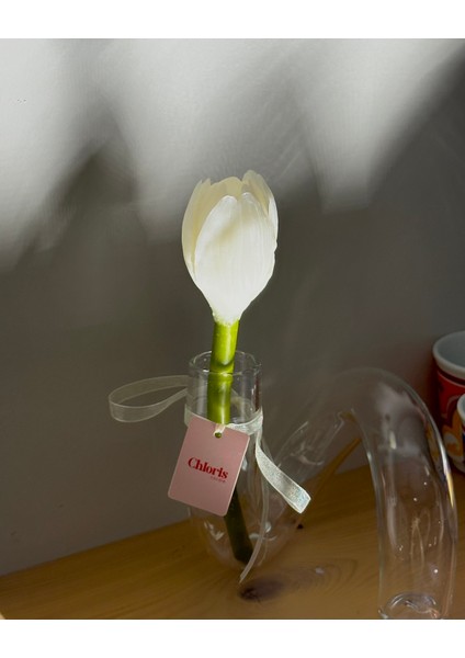 Cam Vazo Içerisinde Beyaz Lale Mum