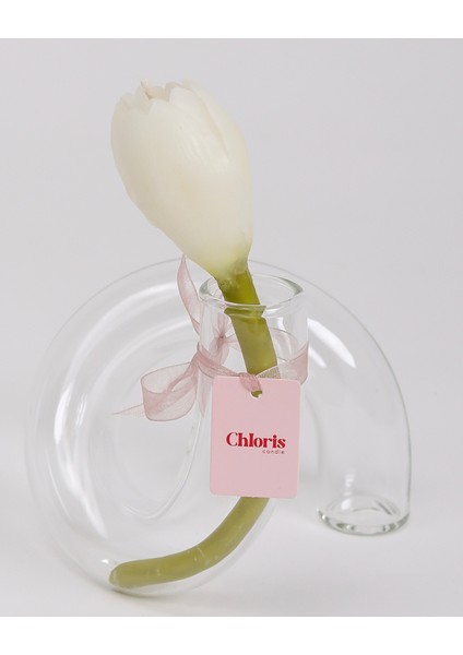 Cam Vazo Içerisinde Beyaz Lale Mum modelleri