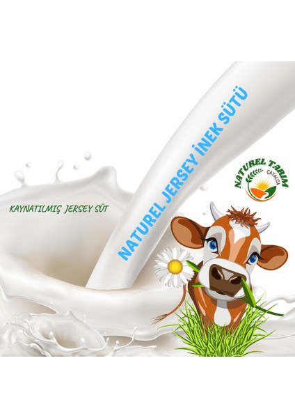 Jersey Inek Sütü Kaynatılmış 4 Litre fiyatları