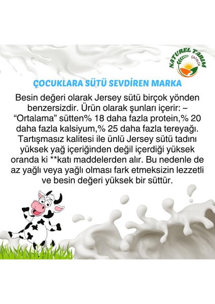 Jersey Inek Sütü Kaynatılmış 4 Litre modelleri