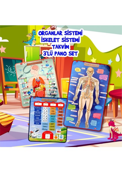 3 Set -106 Parça Tox Iç Organlar , Iskelet Sistemi ve Takvimi Öğreniyorum Keçe Cırtlı Duvar Panoları , Eğitici Oyuncak