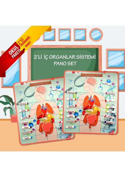 2 Set - 52 Parça Tox Iç Organlar Sistemi Keçe Duvar Panoları , Eğitici Oyuncak