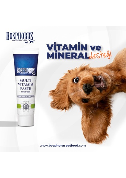 Köpekler Için Multivitamin Malt Macun 100G fiyatları