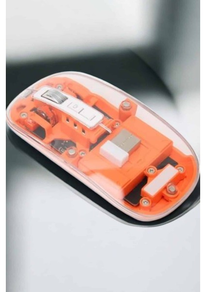 Kablosuz Mouse Fare 5.0 Bluetooth Bağlantılı USB Girişli