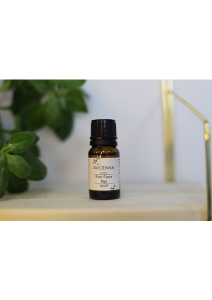 Nane Uçucu Yağı 10 ml Saf