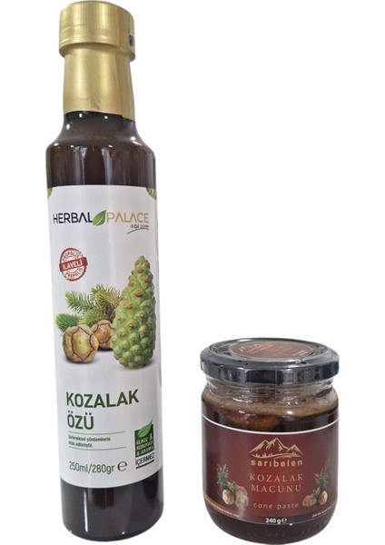 Çam Kozalağı Özü 280 gr & Kozalak Macunu 240 gr Avantajlı Kozalak Set