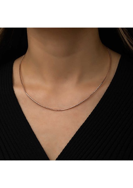 Özel Kutu ve Gümüş Bezi Ile Gümüş Omega Choker Zincir