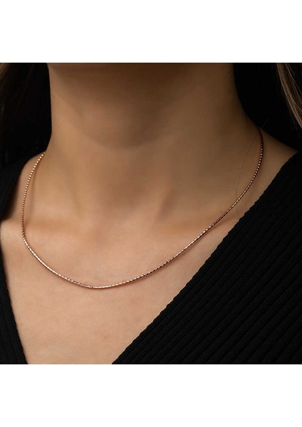 Özel Kutu ve Gümüş Bezi Ile Gümüş Omega Choker Zincir
