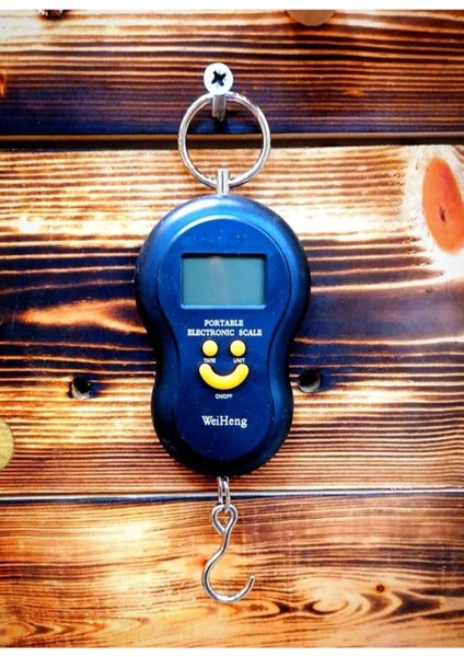 Elektronik El Kantarı