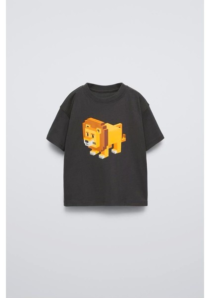 Erkek Çocuk 2d Çizim Aslan Karakter Baskılı T-Shirt Çizgili Şort 2 Parça Altüst Takım modelleri
