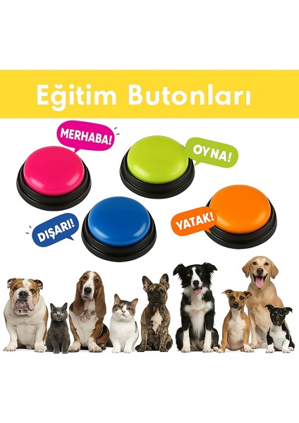 Kedi Köpek Için 4 Adet Ses Kayıtlı Eğitim ve Iletişim Butonu fırsatları