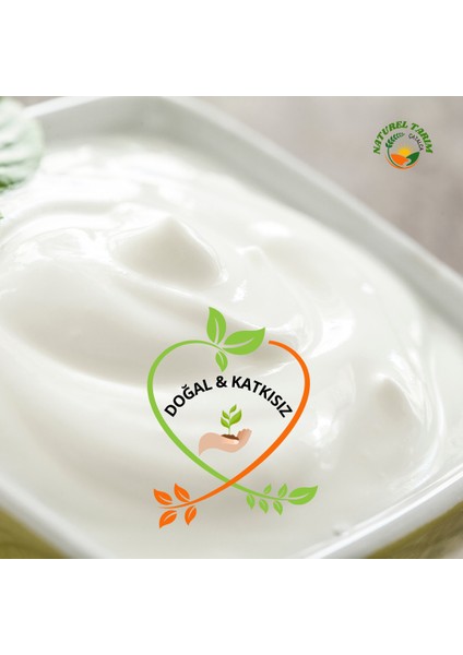 Jersey Inek Sütü Kaymaklı Yoğurt modelleri