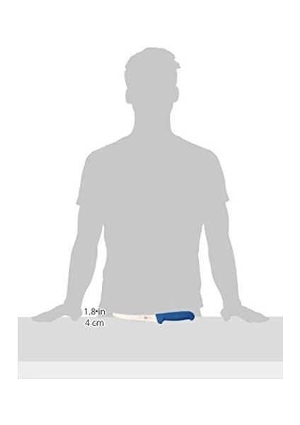 Metrashop 5.6502.15 15CM Kavisli Geniş Ağız Sıyırma Bıçağı