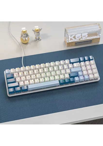 K65 Oyuncu Klavyesi Gaming Mekanik 78 Tuşlu Rainbow Aydınlatmalı Hot-Swapp USB Tip-C Kablosu