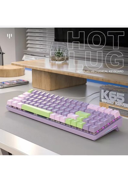 K65 Oyuncu Klavyesi Gaming Mekanik 78 Tuşlu Rainbow Aydınlatmalı Hot-Swapp USB Tip-C Kablosu