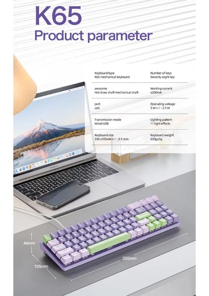 K65 Oyuncu Klavyesi Gaming Mekanik 78 Tuşlu Rainbow Aydınlatmalı Hot-Swapp USB Tip-C Kablosu