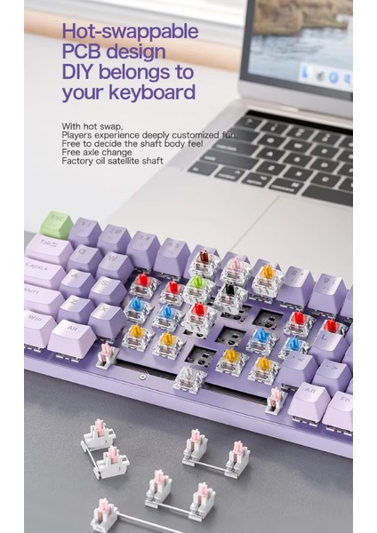 K65 Oyuncu Klavyesi Gaming Mekanik 78 Tuşlu Rainbow Aydınlatmalı Hot-Swapp USB Tip-C Kablosu