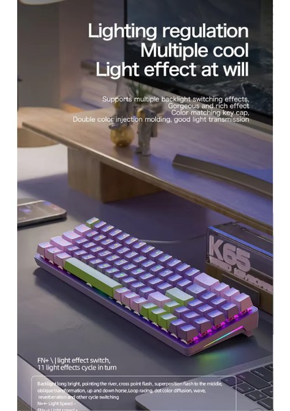 K65 Oyuncu Klavyesi Gaming Mekanik 78 Tuşlu Rainbow Aydınlatmalı Hot-Swapp USB Tip-C Kablosu