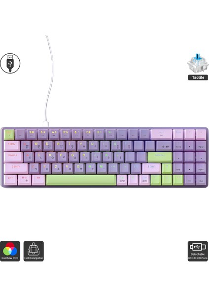 K65 Oyuncu Klavyesi Gaming Mekanik 78 Tuşlu Rainbow Aydınlatmalı Hot-Swapp USB Tip-C Kablosu