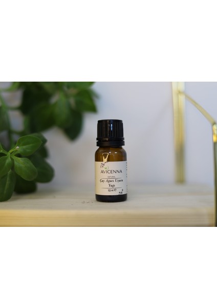 Çay Ağacı Uçucu Yağı 10ML %100 Saf Avicenna Natural