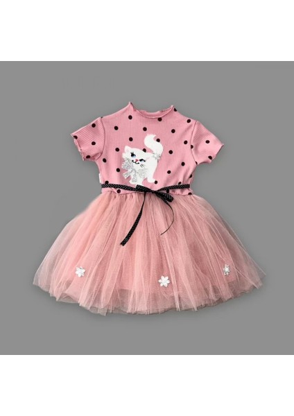 1-2-3 Yaş Payetli Kedicik Baskılı Puantiyeli Kız Bebek Elbisesi Gül Kurusu fiyatları