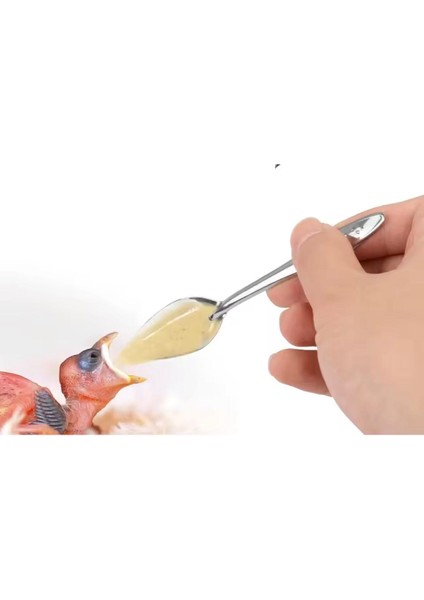 Yavru Papağan Besleme Kaşığı Paslanmaz Çelik 1 Adet