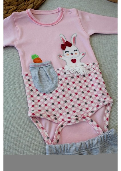 3-6 9-12 12-18 Ay Havuç Tavşan Nakışlı Bandanalı Uzun Kollu Zıbınlı 3lü Kız Bebek Tak Pembe fiyatları