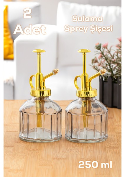 15733 2li Gri Vintage Cam Bitki Sulama Şişesi Oda Kokusu Dağıtıcı Cam Dağıtıcı Sprey Yağlık 250ML