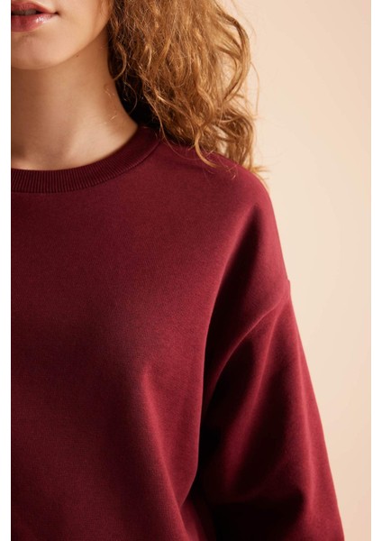 Regular Fit Normal Kalıp Basic Düz İçi Kalın Polarlı Eşofman Takımı D8022AXNS fırsatları