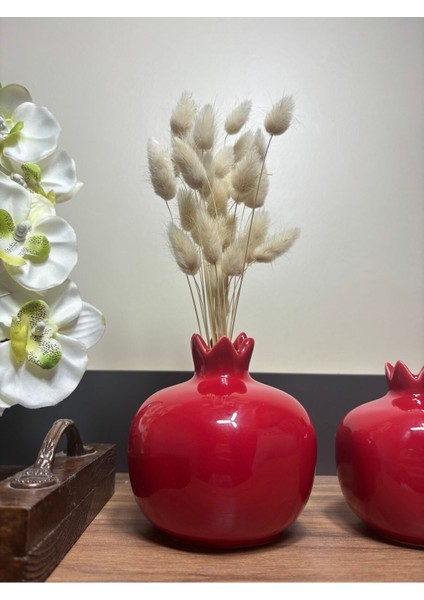Masculin Tasarim3 Lü Kırmızı Nar Bereket Nar