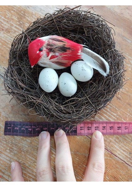 Kuş Yuvası Kırmızı Kuş 3 Yumurta 15 cm , Yapay Kuş